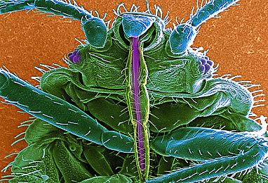 《传送门》开发商阐明态度 MOD制作者理应获得更好待遇